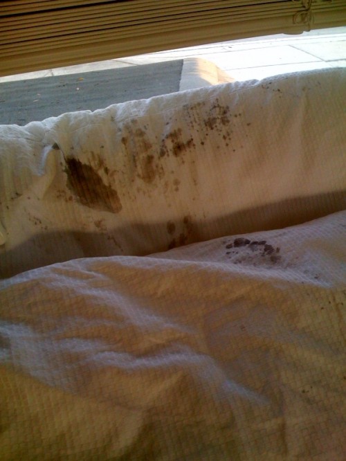 Ink Bed