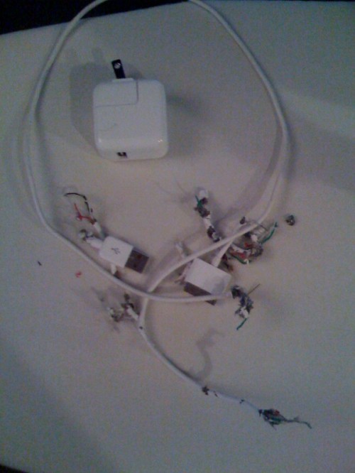 iPhone Charger