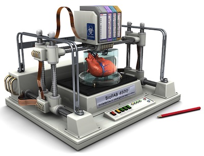 Bioprinter Holdout